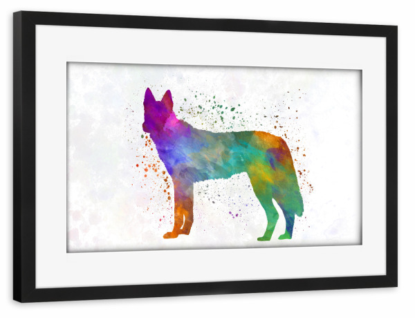 Poster mit Rahmen schwarz "Czechoslovakian Wolfdog" artboxONE - Tiere,Abstrakt
