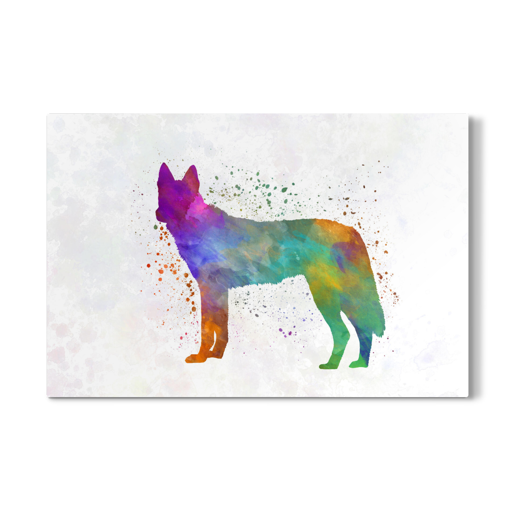Galerie-Print "Czechoslovakian Wolfdog" 30x20 cm artboxONE