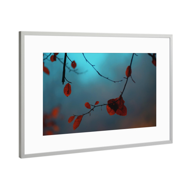 Poster mit Rahmen Silber "Orangefarbene Herbstblätter" artboxONE - Natur