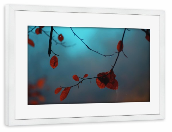 Poster mit Rahmen weiß "Orangefarbene Herbstblätter" artboxONE - Natur