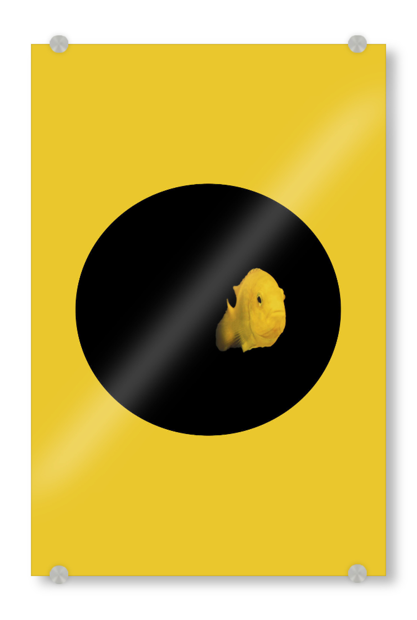 Acrylglasbild "YELLOW FISH" artboxONE - Tiere - Fish,Pillow,Nature,Cesarebellassai,Sea,Art,Interior design,Homedecor,Design,Water,Collage