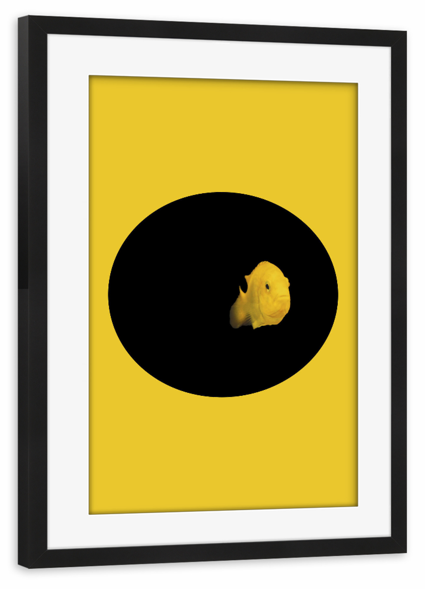 Poster mit Rahmen schwarz "YELLOW FISH" artboxONE - Tiere - Fish,Pillow,Nature,Cesarebellassai,Sea,Art,Interior design,Homedecor,Design,Water,Collage