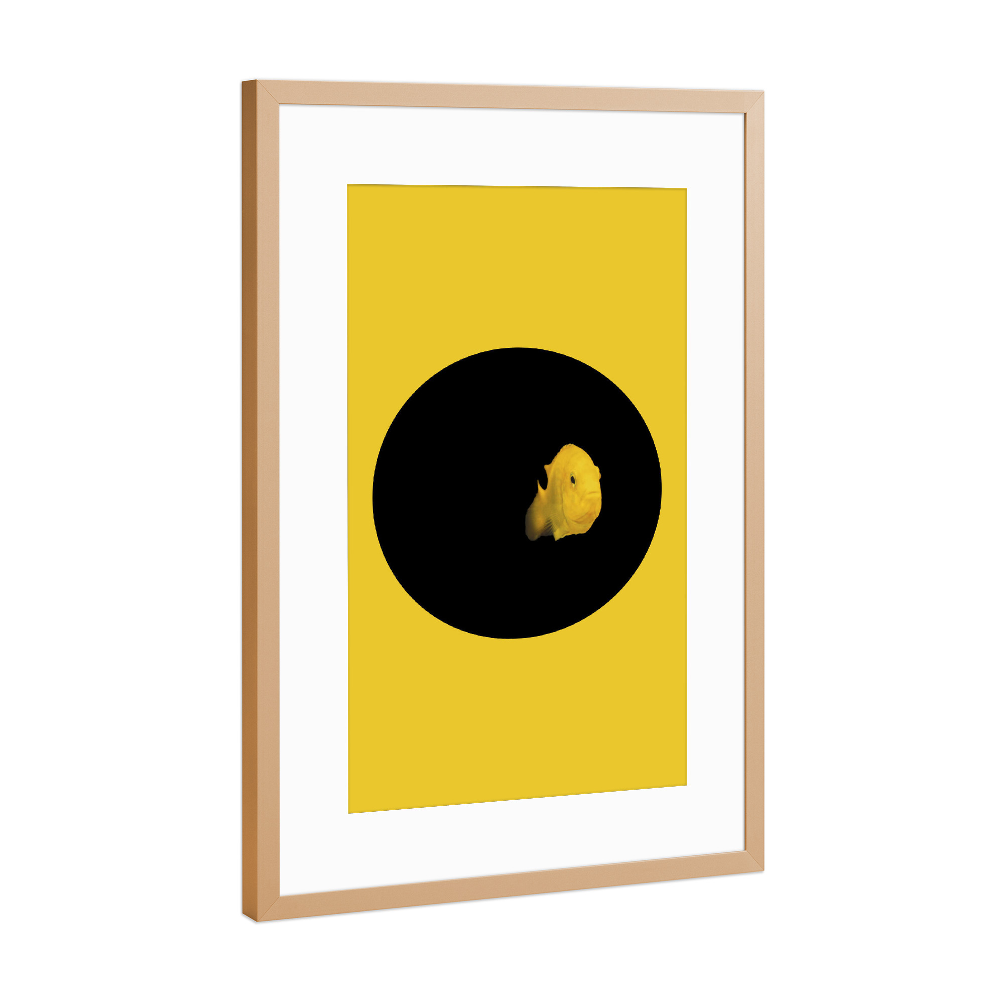Poster mit Rahmen Kupfer "YELLOW FISH" artboxONE - Tiere - Fish,Pillow,Nature,Cesarebellassai,Sea,Art,Interior design,Homedecor,Design,Water,Collage