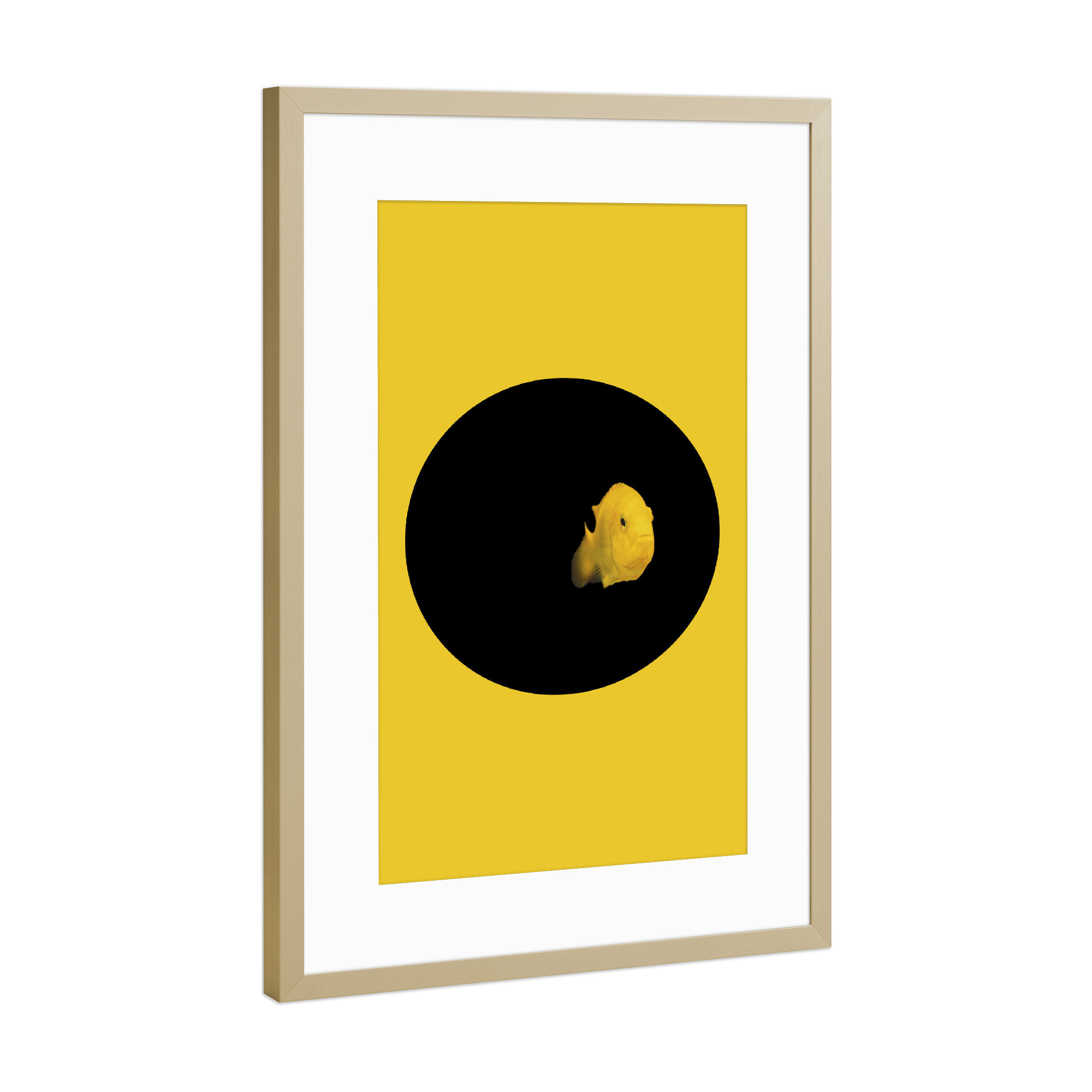 Poster mit Rahmen Gold "YELLOW FISH" artboxONE - Tiere - Fish,Pillow,Nature,Cesarebellassai,Sea,Art,Interior design,Homedecor,Design,Water,Collage