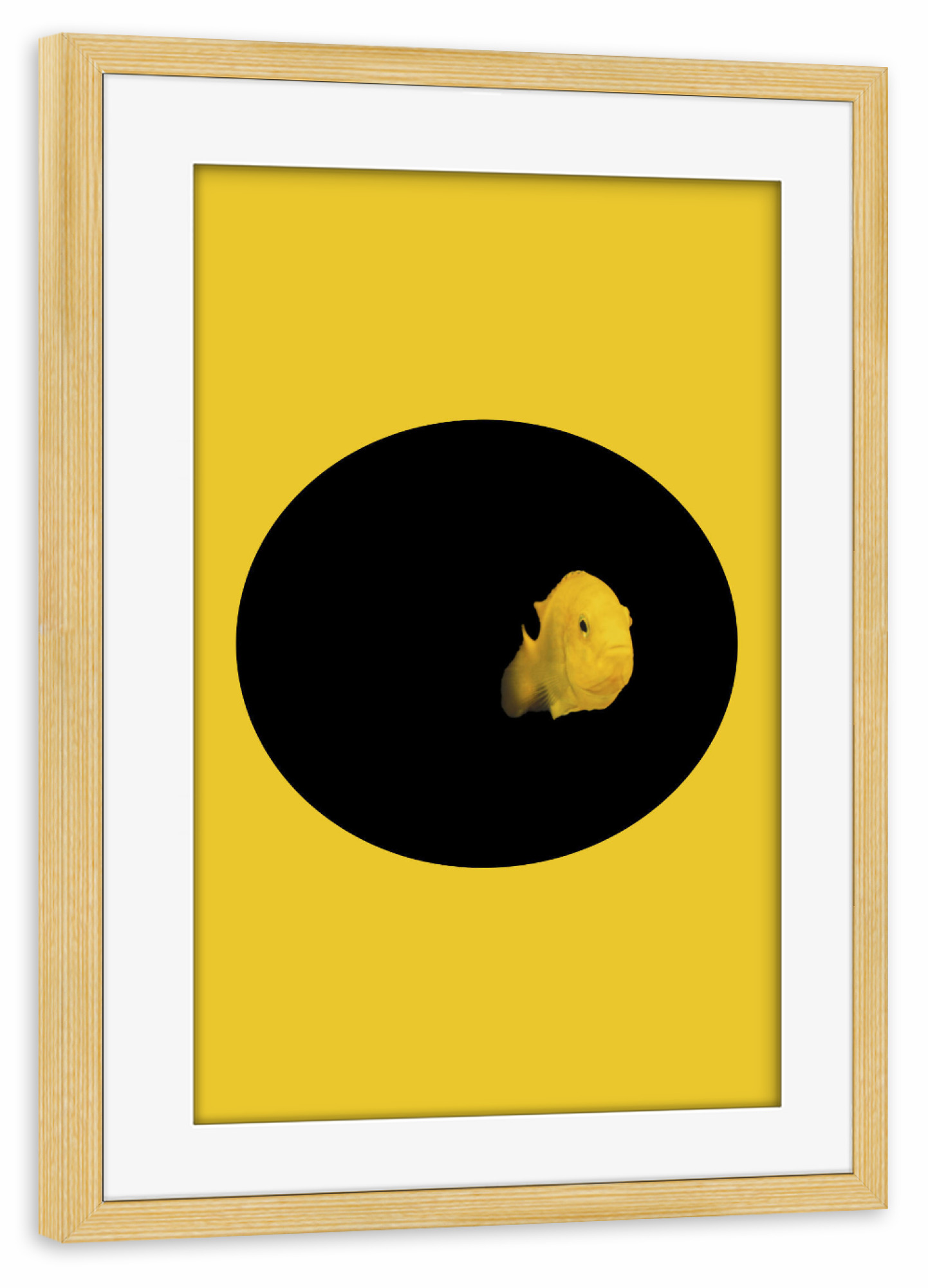Poster mit Rahmen kiefer "YELLOW FISH" artboxONE - Tiere - Fish,Pillow,Nature,Cesarebellassai,Sea,Art,Interior design,Homedecor,Design,Water,Collage