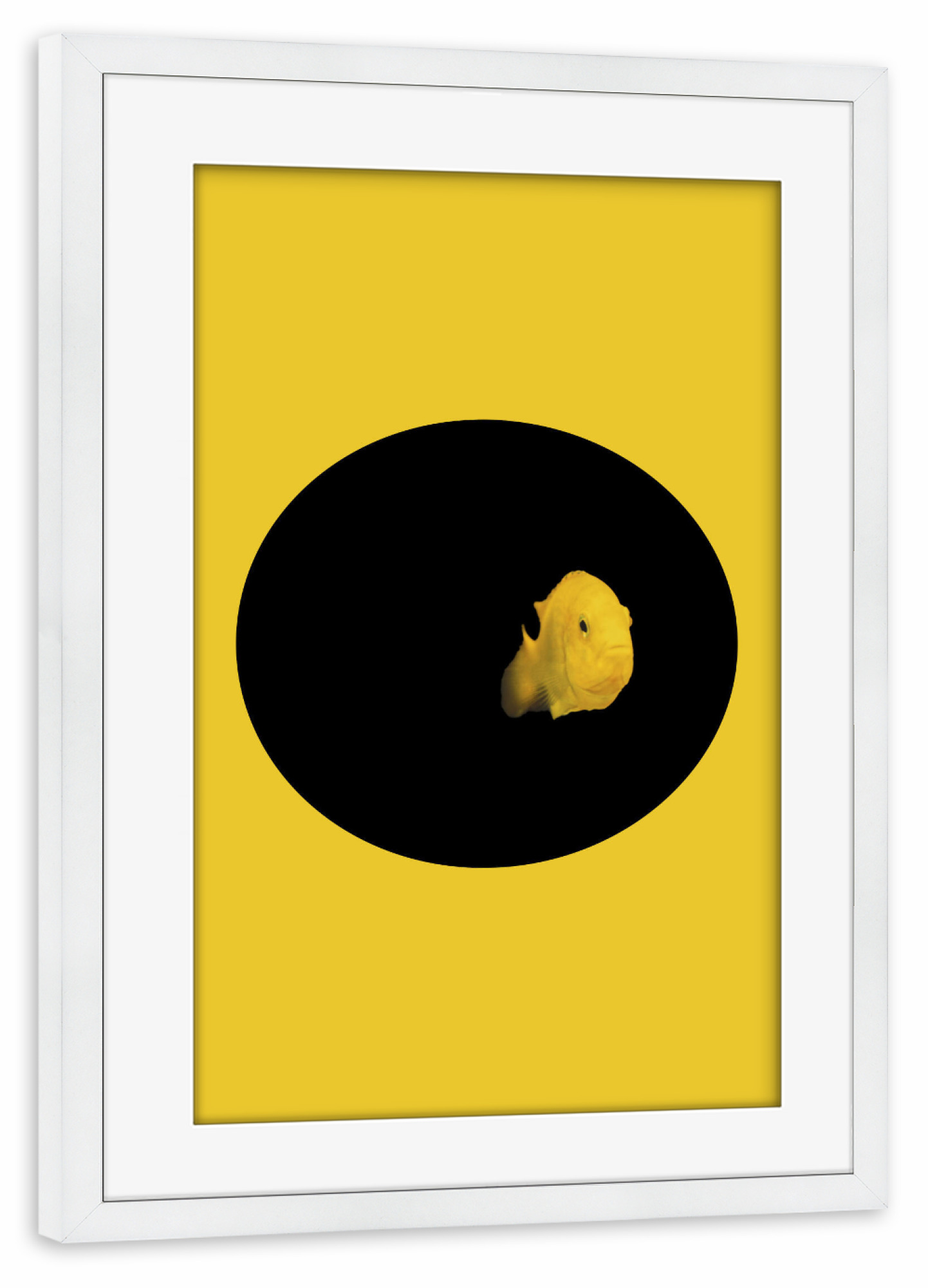 Poster mit Rahmen weiß "YELLOW FISH" artboxONE - Tiere - Fish,Pillow,Nature,Cesarebellassai,Sea,Art,Interior design,Homedecor,Design,Water,Collage