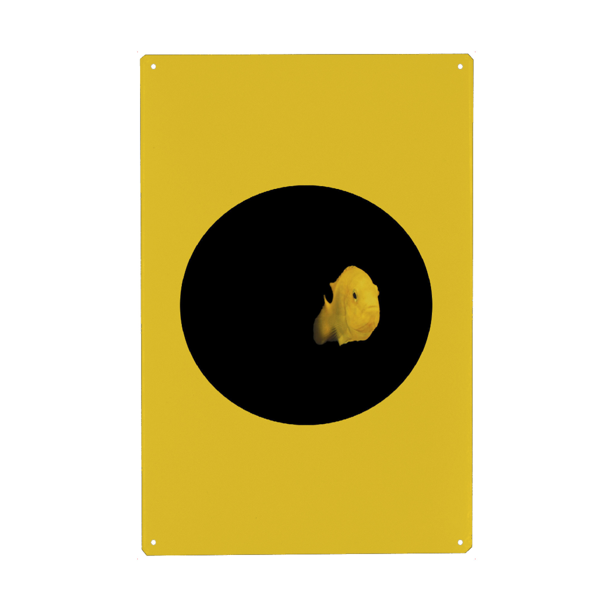 Metall Poster "YELLOW FISH" artboxONE - Tiere - Fish,Pillow,Nature,Cesarebellassai,Sea,Art,Interior design,Homedecor,Design,Water,Collage