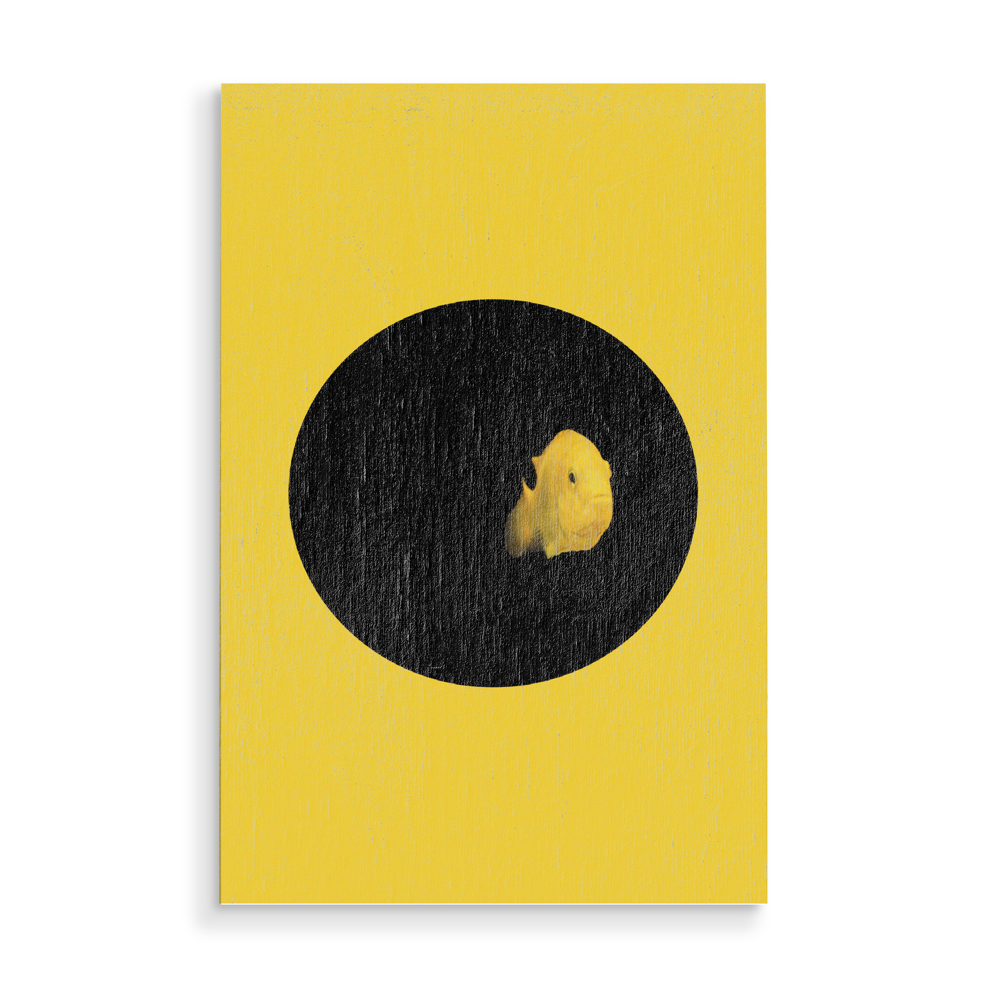 Holzbild "YELLOW FISH" artboxONE - Tiere - Fish,Pillow,Nature,Cesarebellassai,Sea,Art,Interior design,Homedecor,Design,Water,Collage