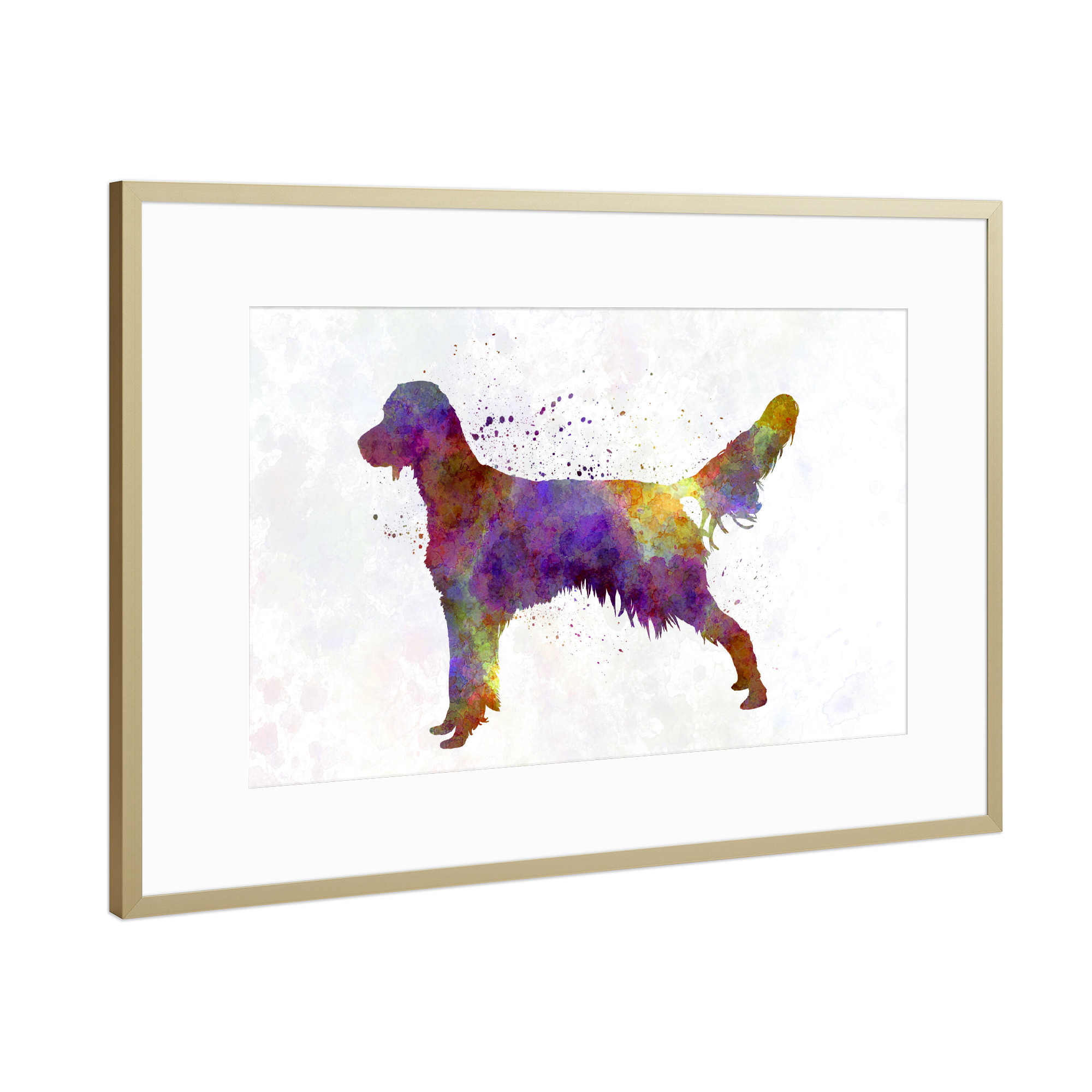 Poster mit Rahmen Gold "French Spaniel in watercolor" artboxONE - Tiere,Abstrakt