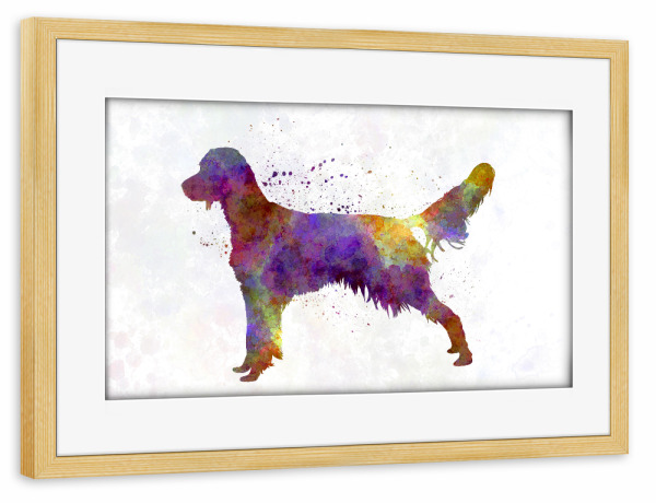 Poster mit Rahmen kiefer "French Spaniel in watercolor" artboxONE - Tiere,Abstrakt