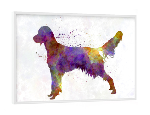 Poster mit weißem Rahmen "French Spaniel in watercolor" artboxONE - Tiere,Abstrakt