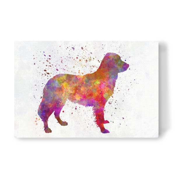 Leinwandbild "Frisian Pointer in watercolor" artboxONE - Tiere,Abstrakt - Dog,Dogs,Pet,Animal,Mammal,Watercolor,Dog poster,Illustration,Abstract