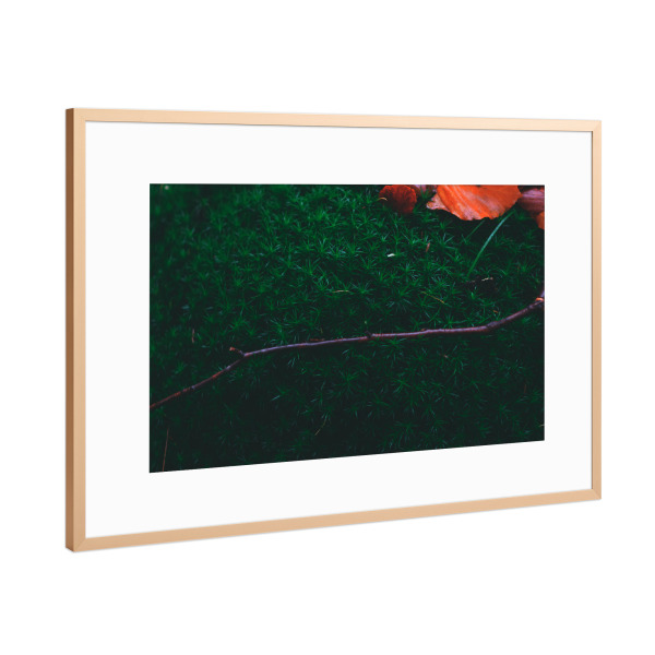 Poster mit Rahmen Kupfer "Moos mit Herbstblättern" artboxONE - Natur