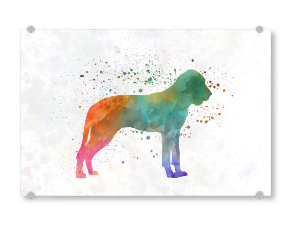 Acrylglasbild "Great Gascony Blue in watercolor" artboxONE - Tiere,Abstrakt - Dog,Dogs,Pet,Animal,Mammal,Watercolor,Dog poster,Illustration,Abstract