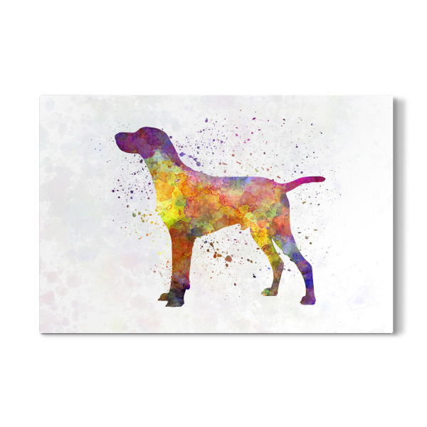 Galerie-Print "Hungarian Shorthaired Pointer" 30x20 cm artboxONE