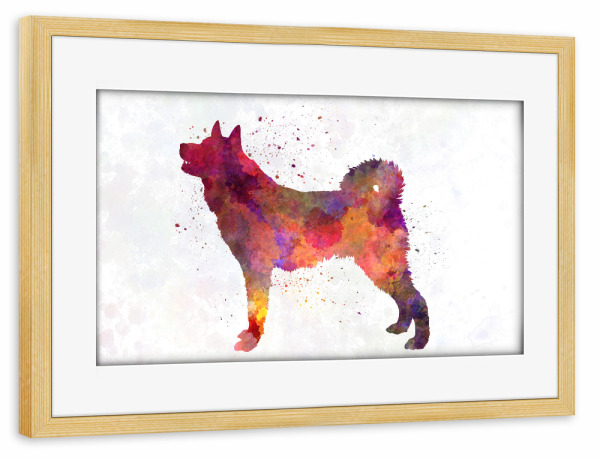 Poster mit Rahmen kiefer "Karelian Bear Dog in watercolor" artboxONE - Tiere,Abstrakt