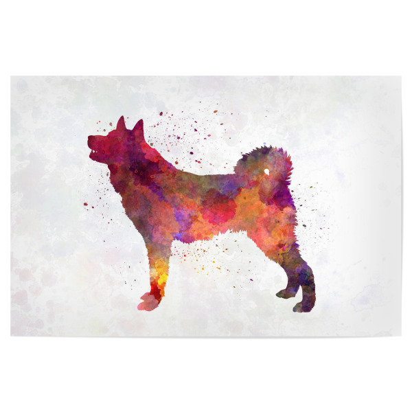 Poster 30x20 cm "Karelian Bear Dog in watercolor" artboxONE - Tiere,Abstrakt - Dog,Dogs,Pet,Animal,Mammal,Watercolor,Dog poster,Illustration,Abstract