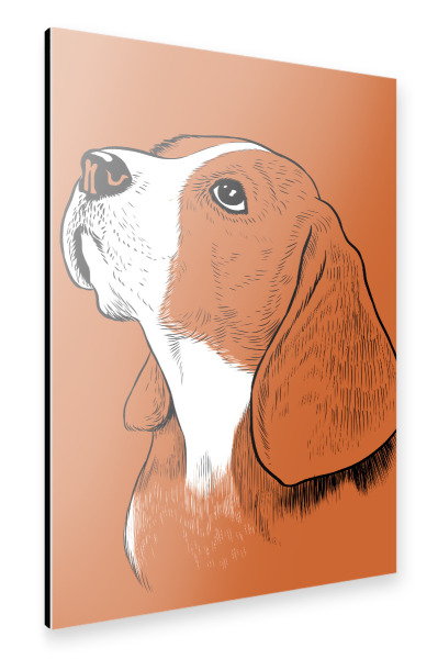 Alu-Dibond "Adorable beagle" 30x20 cm artboxONE