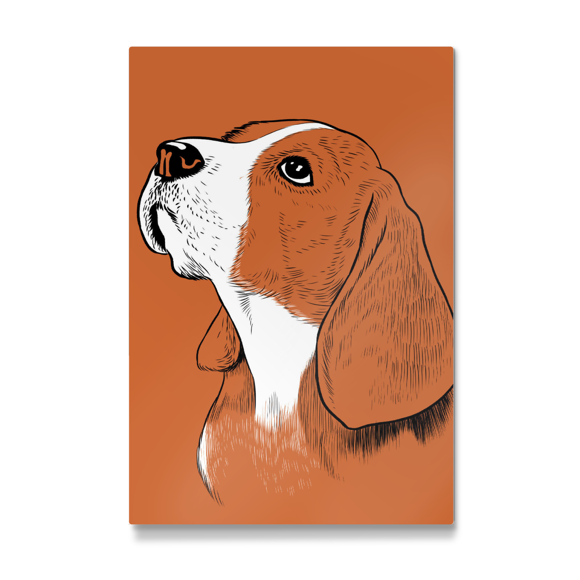 Galerie-Print "Adorable beagle" 75x50 cm artboxONE