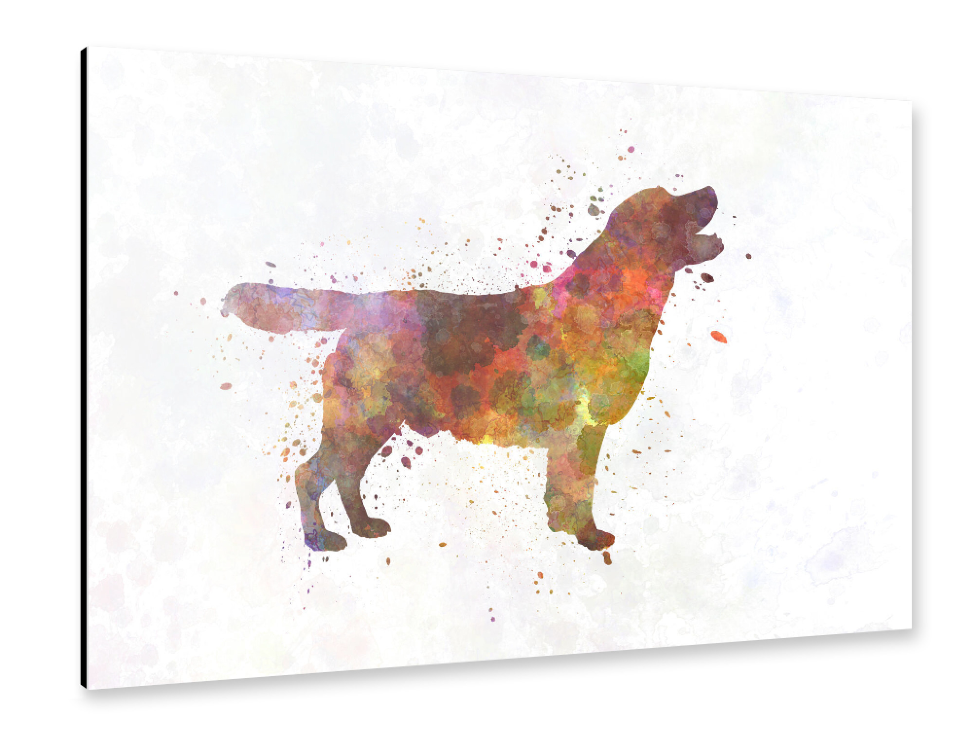 Alu-Dibond "Labrador retriever in watercolor" 75x50 cm artboxONE