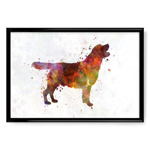 Labrador retriever in watercolor