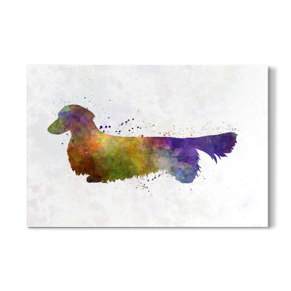 Galerie-Print "Dachshund Long Haired" 30x20 cm artboxONE