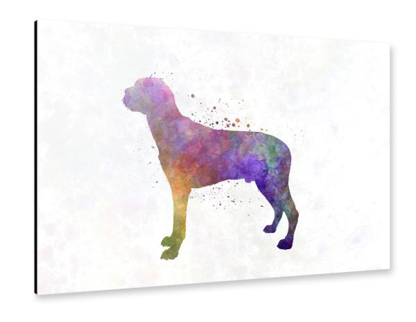 Alu-Dibond "Hamiltonstovare in watercolor" 30x20 cm artboxONE