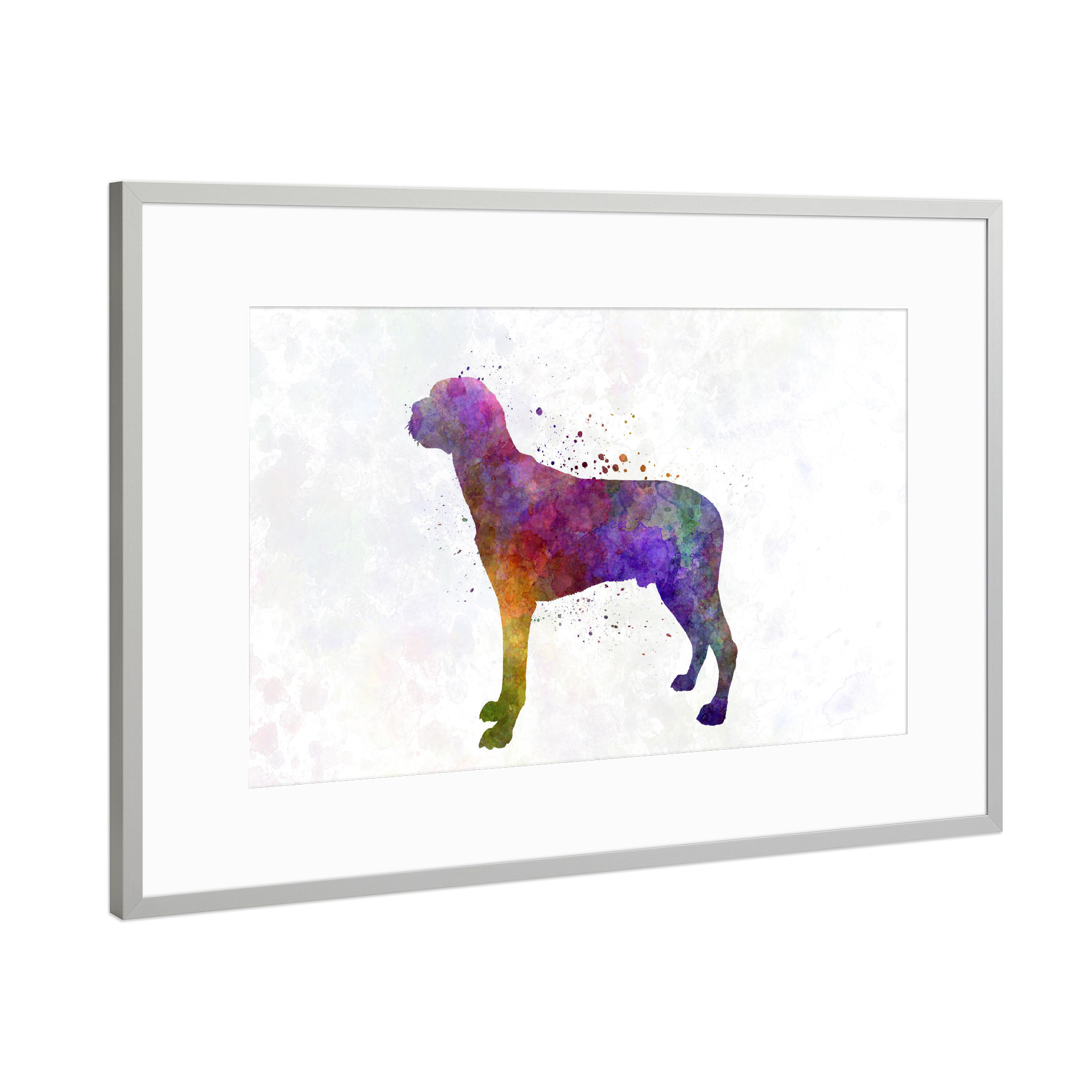 Poster mit Rahmen Silber "Hamiltonstovare in watercolor" artboxONE - Tiere,Abstrakt