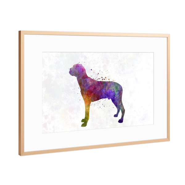 Poster mit Rahmen Kupfer "Hamiltonstovare in watercolor" artboxONE - Tiere,Abstrakt