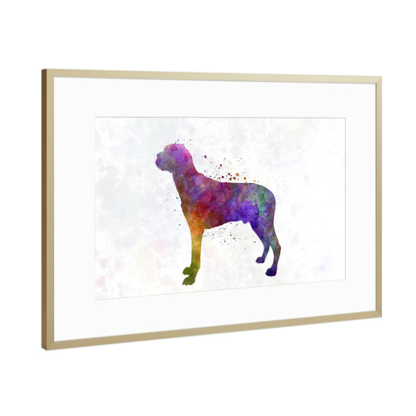 Poster mit Rahmen Gold "Hamiltonstovare in watercolor" artboxONE - Tiere,Abstrakt