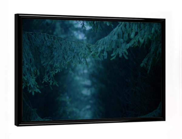 Poster mit schwarzem Rahmen "Hängende Tannenzweige" artboxONE - Natur