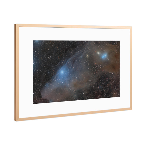 Poster mit Rahmen Kupfer "IC 4592 (Blue Horsehead Nebula)" artboxONE - Galaxy