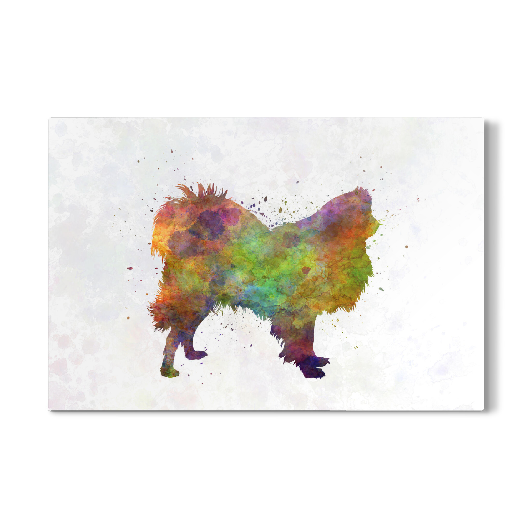 Galerie-Print "Japanese Chin in watercolor" 75x50 cm artboxONE
