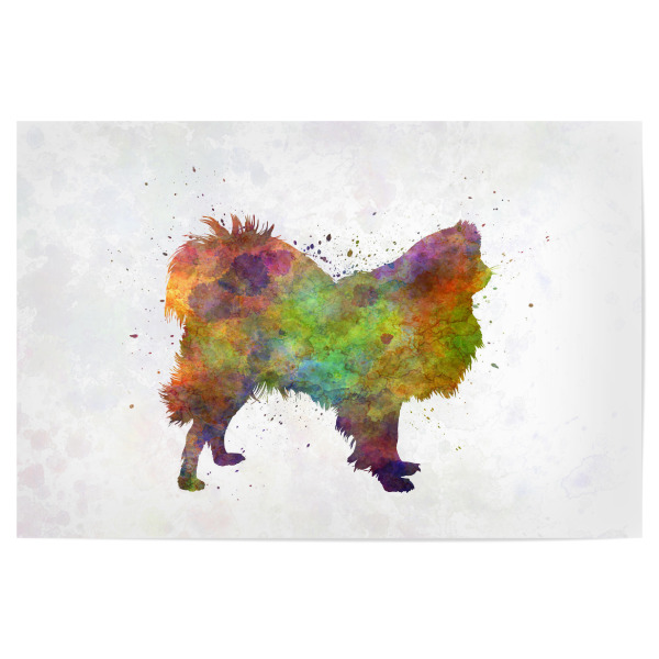Poster "Japanese Chin in watercolor" artboxONE - Tiere,Abstrakt - Dog,Dogs,Pet,Animal,Mammal,Watercolor,Dog poster,Illustration,Abstract
