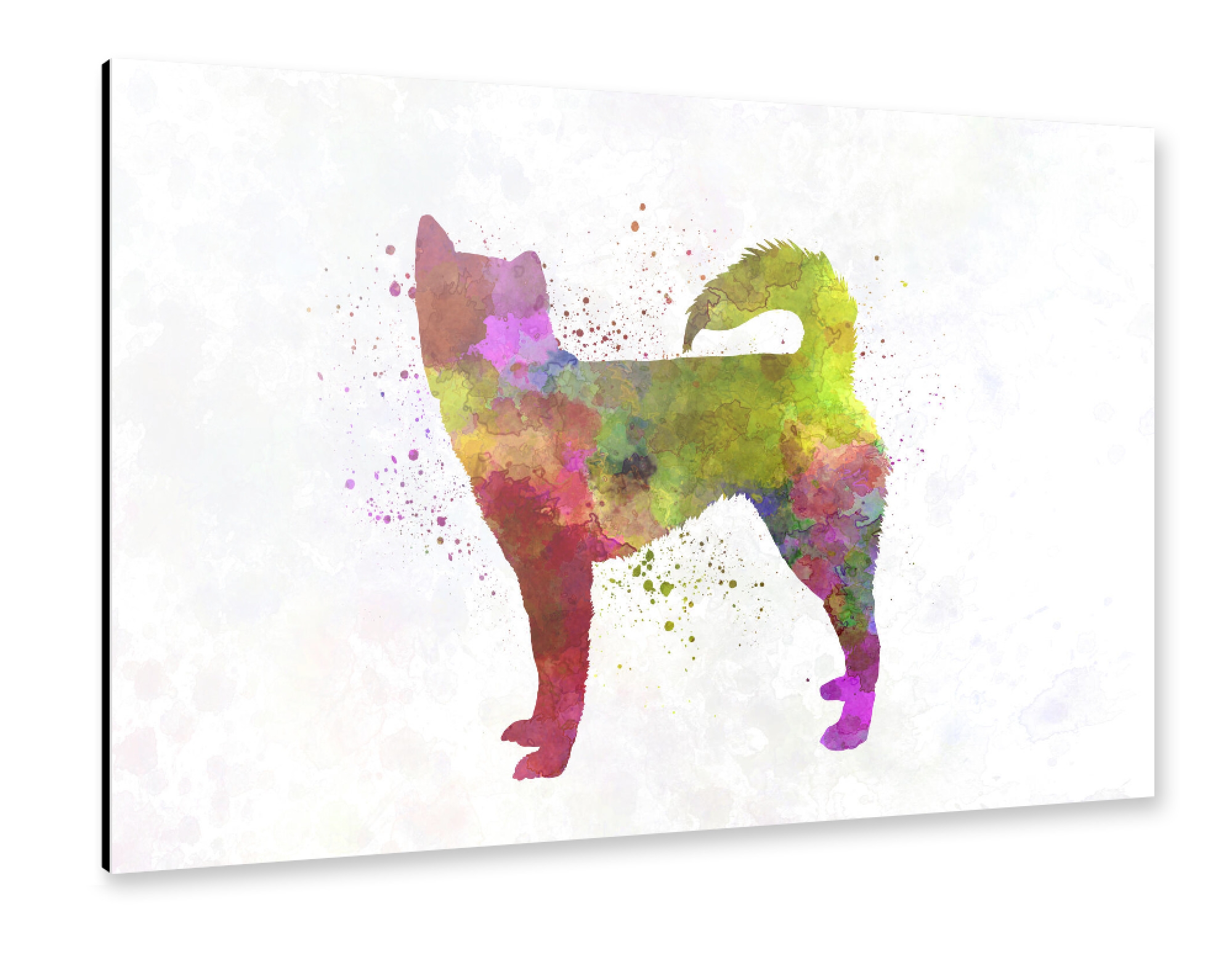 Alu-Dibond "Kai in watercolor" 30x20 cm artboxONE
