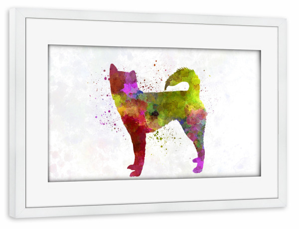 Poster mit Rahmen weiß "Kai in watercolor" artboxONE - Tiere,Abstrakt - Dog,Dogs,Pet,Animal,Mammal,Watercolor,Dog poster,Illustration,Abstract