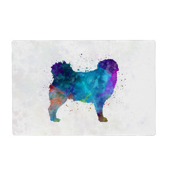 Holzbild "Frisian Water Dog in watercolor" artboxONE - Tiere,Abstrakt - Dog,Dogs,Pet,Animal,Mammal,Watercolor,Dog poster,Illustration,Abstract