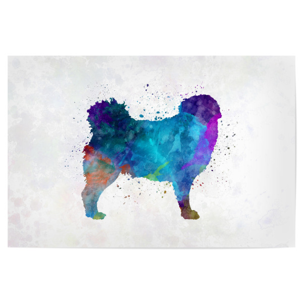Poster 30x20 cm "Frisian Water Dog in watercolor" artboxONE - Tiere,Abstrakt - Dog,Dogs,Pet,Animal,Mammal,Watercolor,Dog poster,Illustration,Abstract