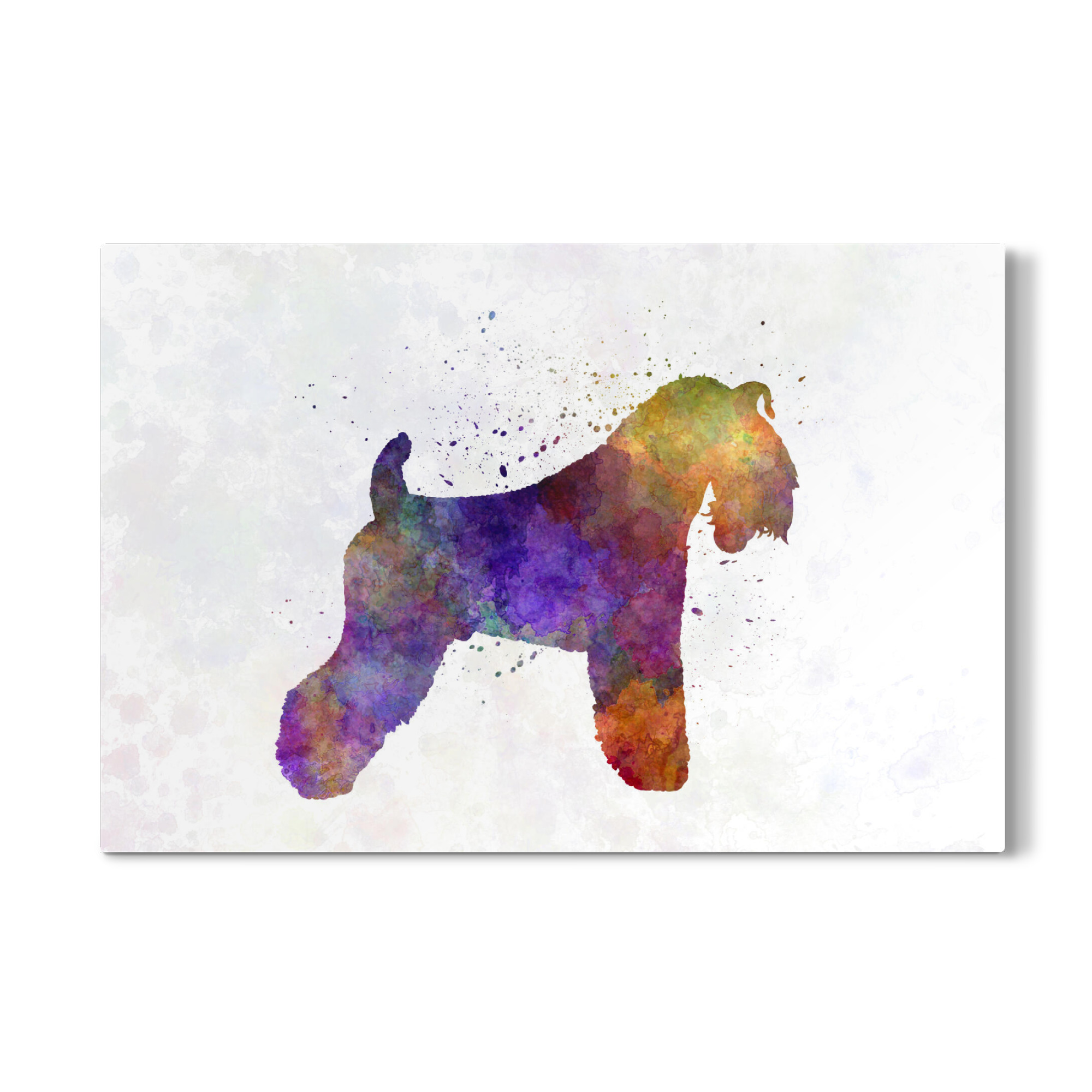 Galerie-Print "Kerry Blue Terrier in watercolor" 30x20 cm artboxONE