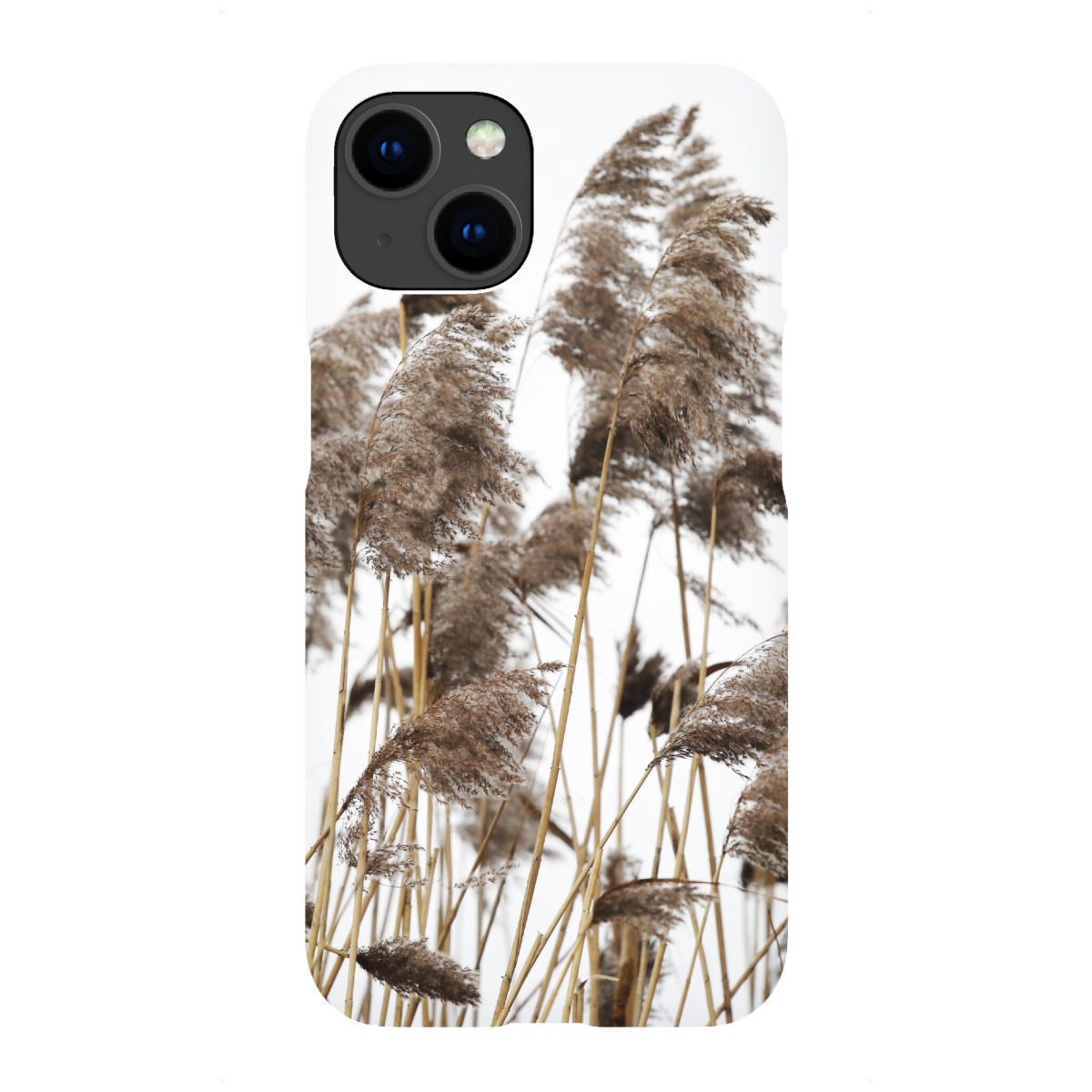 "Pampas Gras, helle Naturtöne"für iPhone - Premium-Case Handyhülle artboxONE