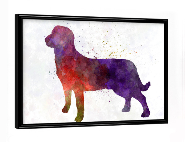 Poster mit schwarzem Rahmen "Entlebuch Cattle Dog in watercolor" artboxONE - Tiere,Abstrakt