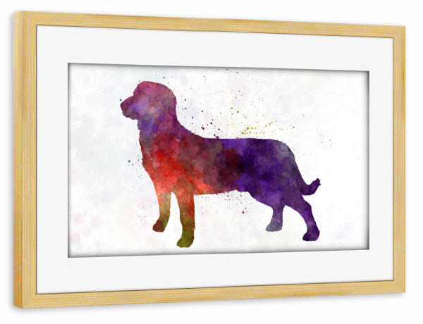 Poster mit Rahmen kiefer "Entlebuch Cattle Dog in watercolor" artboxONE - Tiere,Abstrakt