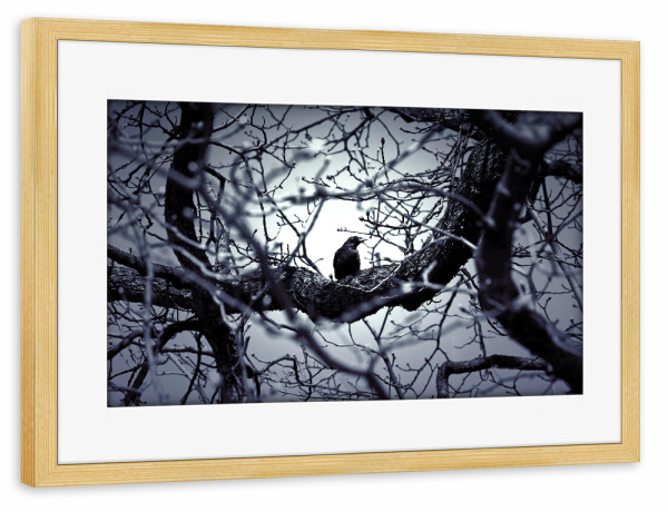 Poster mit Rahmen kiefer "Schwarze Krähe, Tier Fotografie" artboxONE - Natur,Tiere,Schwarzweiß,Fiktion
