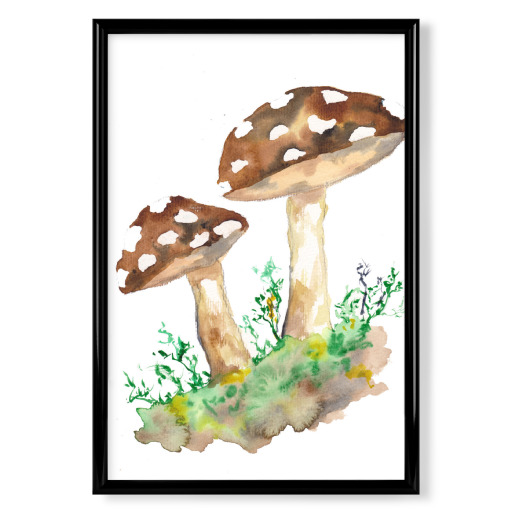 Große braune Waldpilze Große braune Waldpilze