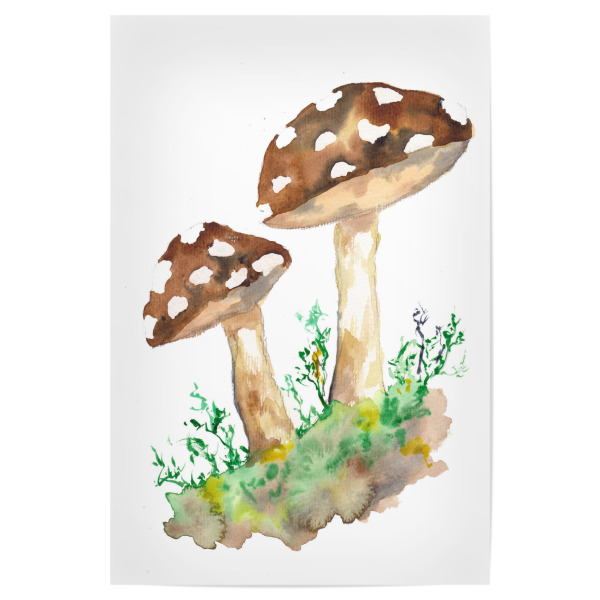 Poster 30x20 cm "Große braune Waldpilze" artboxONE - Natur,Essen & Trinken