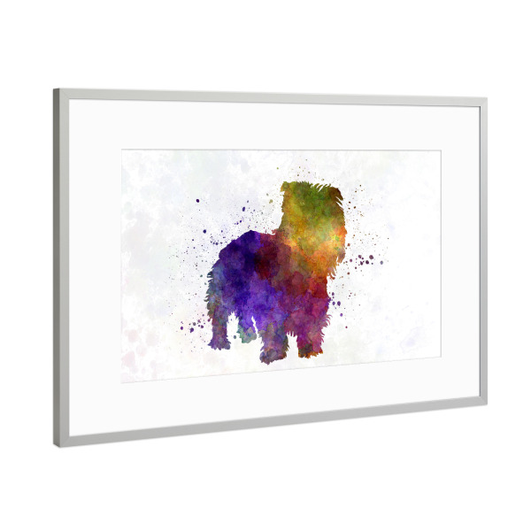 Poster mit Rahmen Silber "Irish Glen of Imaal Terrier" artboxONE - Tiere,Abstrakt