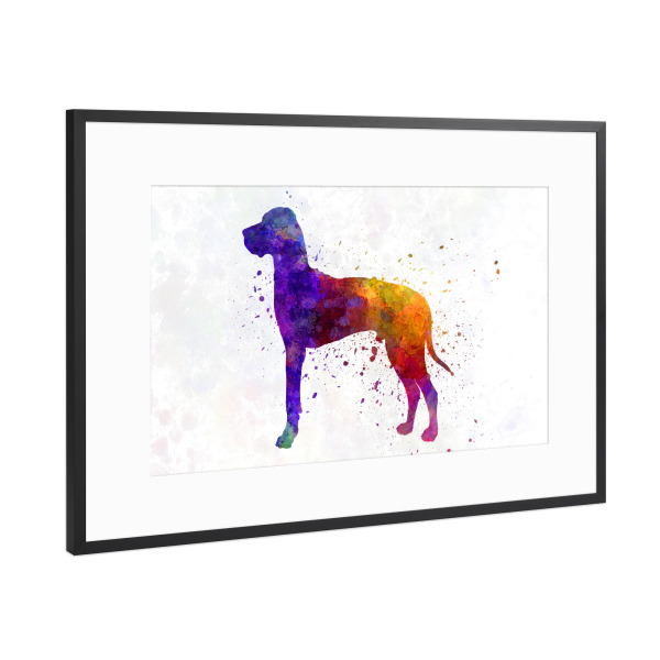 Poster mit Rahmen Schwarz (Metallic) "Great Dane 01 in watercolor" artboxONE - Tiere,Abstrakt