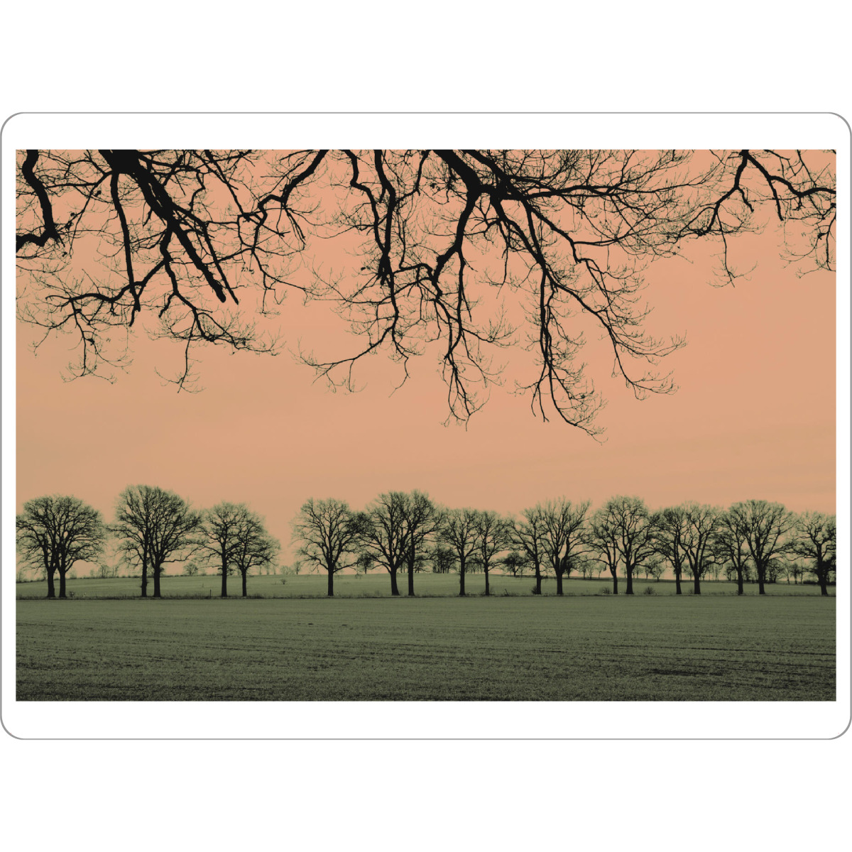 Tischset "Surreal landscape with trees" artboxONE - Natur,Arcadia,Fiktion