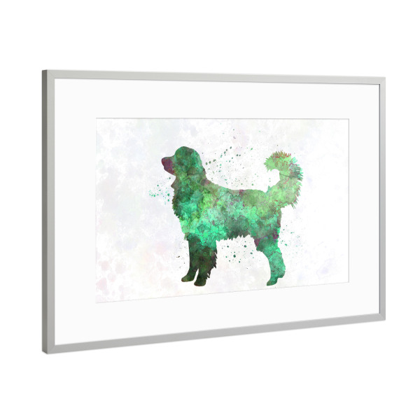 Poster mit Rahmen Silber "Hovawart dog" artboxONE - Tiere,Abstrakt - Dog,Dogs,Pet,Animal,Mammal,Watercolor,Dog poster,Illustration,Abstract