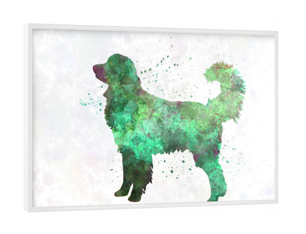 Poster mit weißem Rahmen "Hovawart dog" artboxONE - Tiere,Abstrakt - Dog,Dogs,Pet,Animal,Mammal,Watercolor,Dog poster,Illustration,Abstract